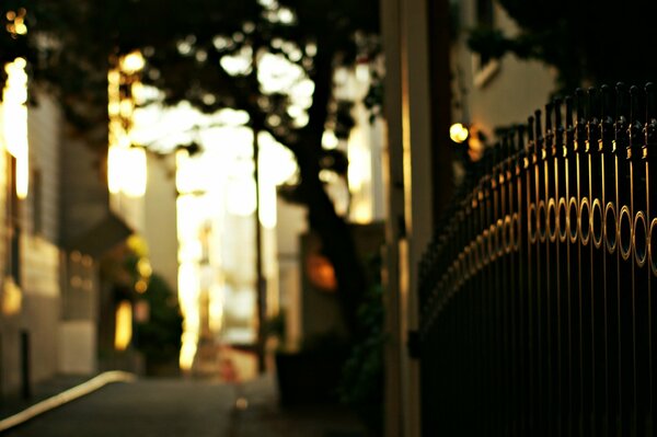 Iron gates in macro photography