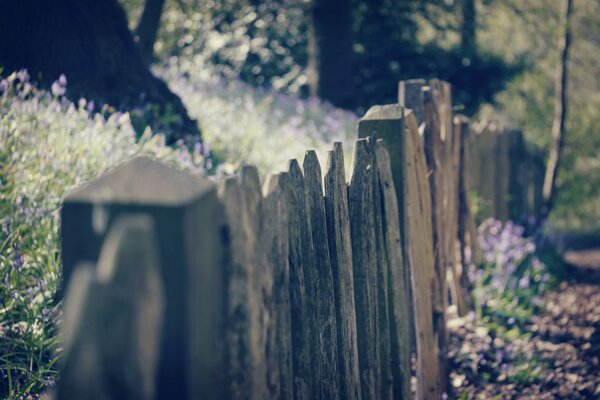 Macro rustic grey fence blurred background of trees and grass around