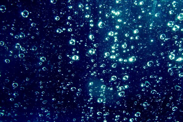 Water drops on a blue background