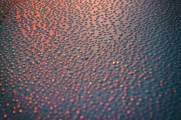Macro snapshot of the surface. Drops on the surface