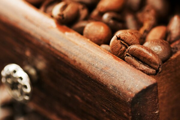 Foto macro de los granos de café