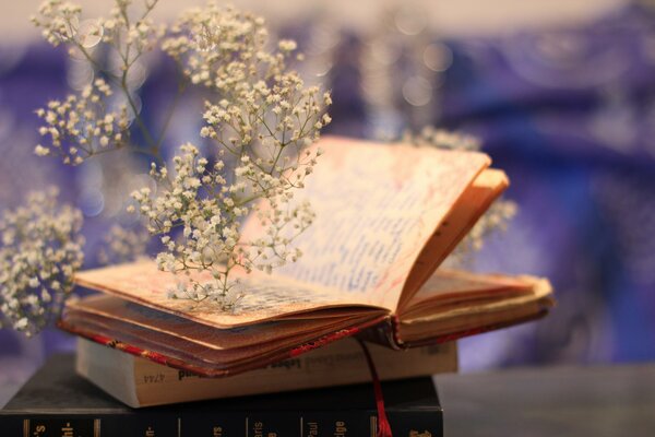 Ein Buch mit einem Zweig kleiner weißer Blüten