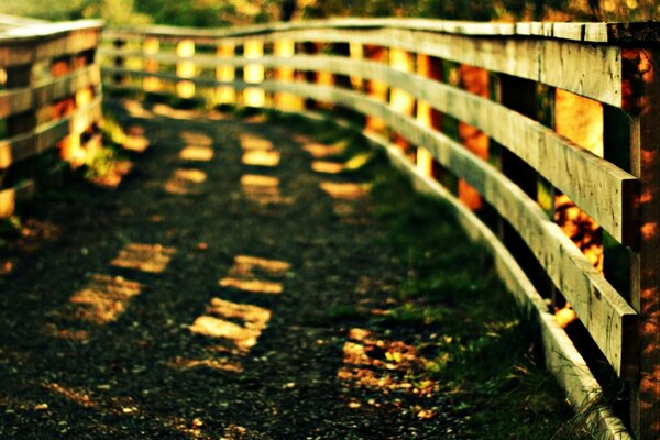 Walkway and fence made of boards