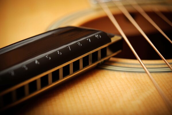 Harmonica et cordes de guitare en gros plan