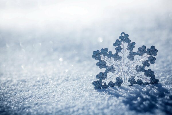 Schneeflocke auf Eis in Makroaufnahmen glänzend