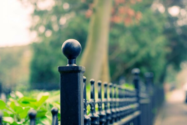 Fencing in macro. Desktop Wallpapers