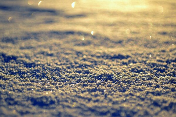 Popołudniowe zimowe słońce podczas makro fotografowania śniegu