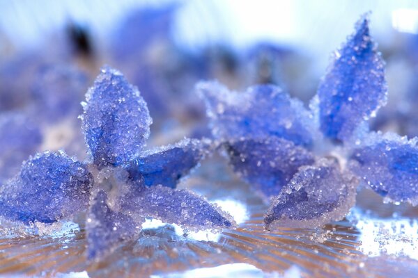 Cristalli di ghiaccio sui colori blu