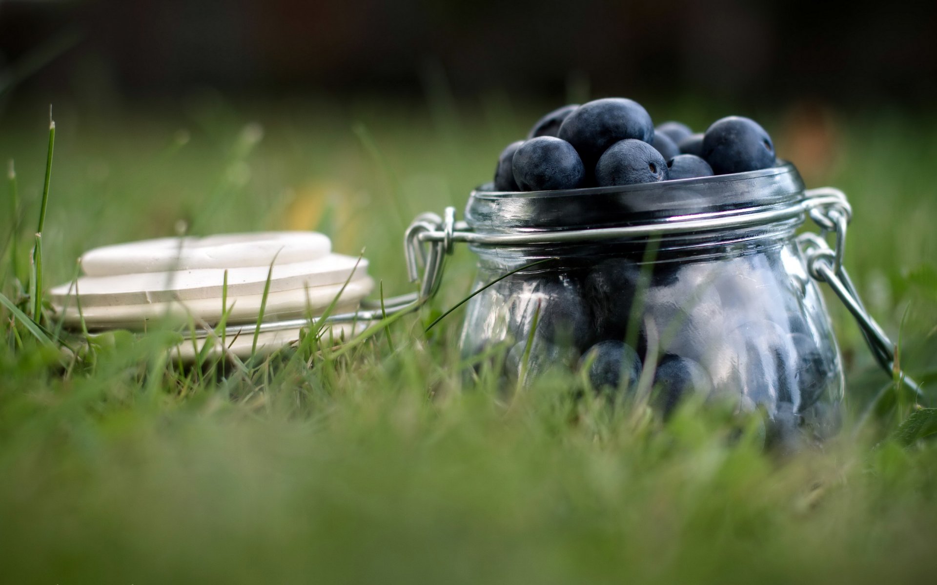 beeren blaubeeren glas makro