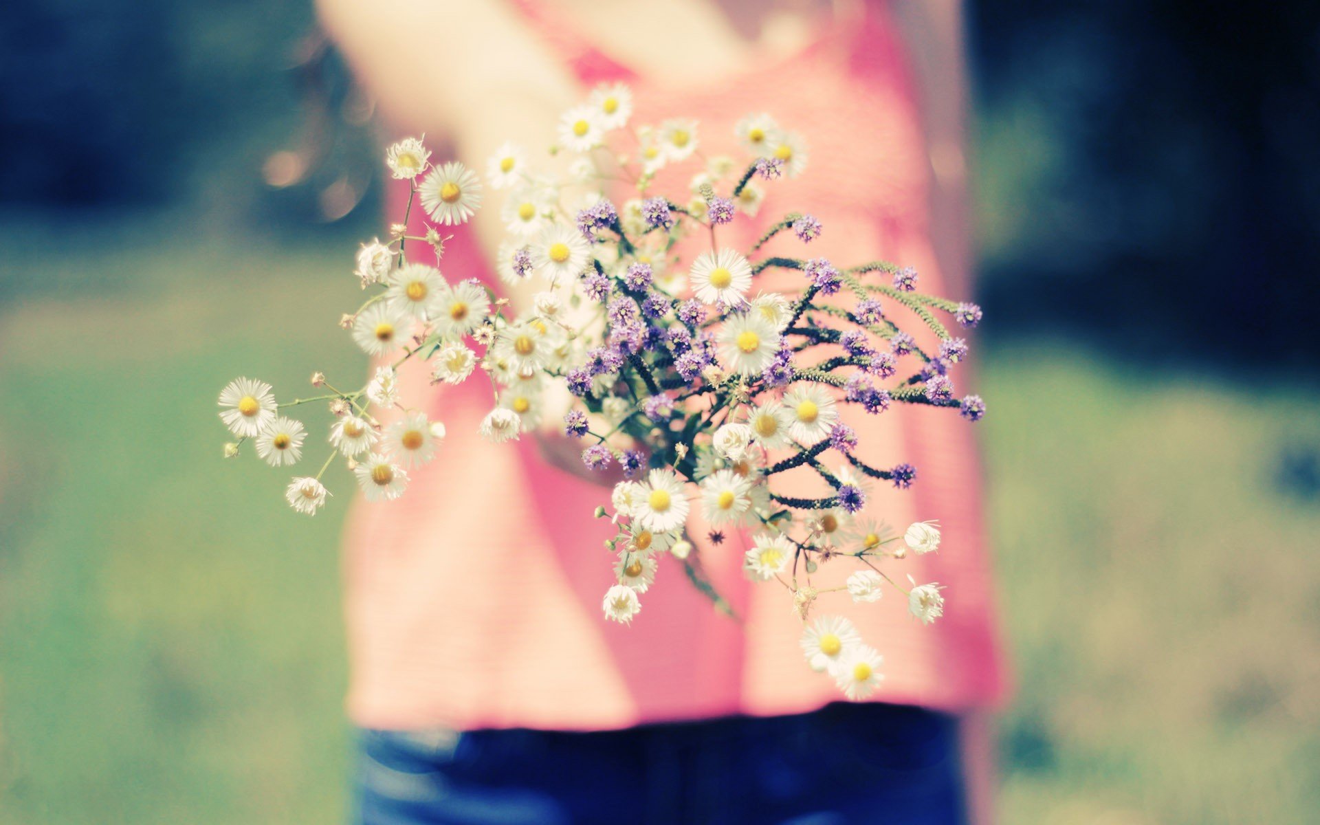 macro flowers flowers. girl girl blur nature background wallpaper fullscreen