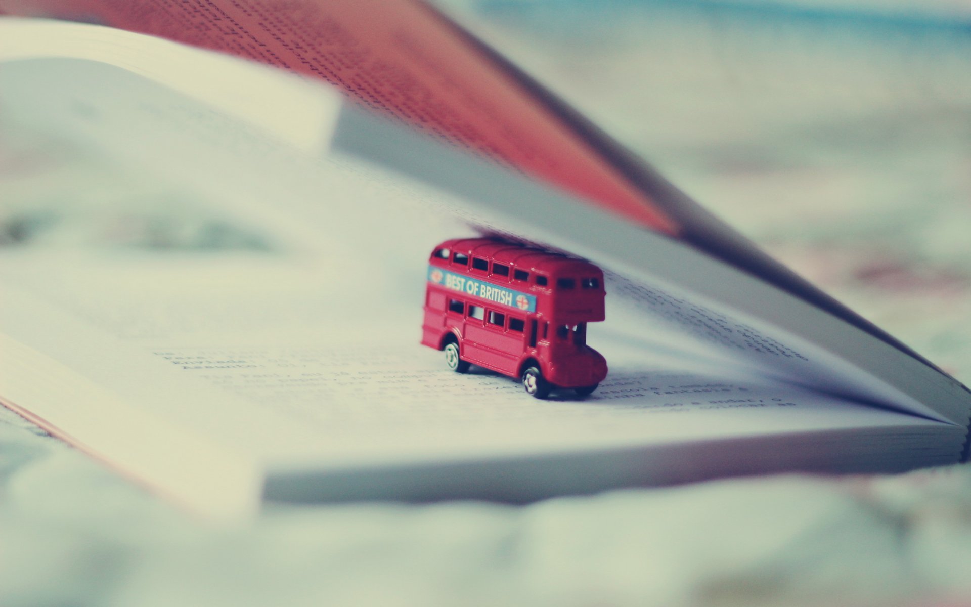 bus libro macro