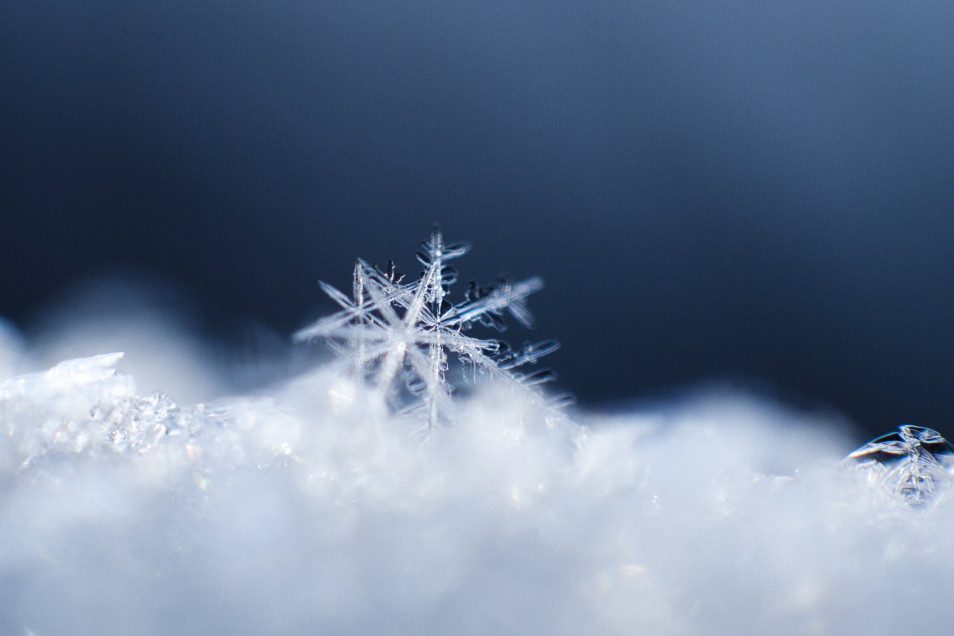 neige flocon de neige macro cristal modèle