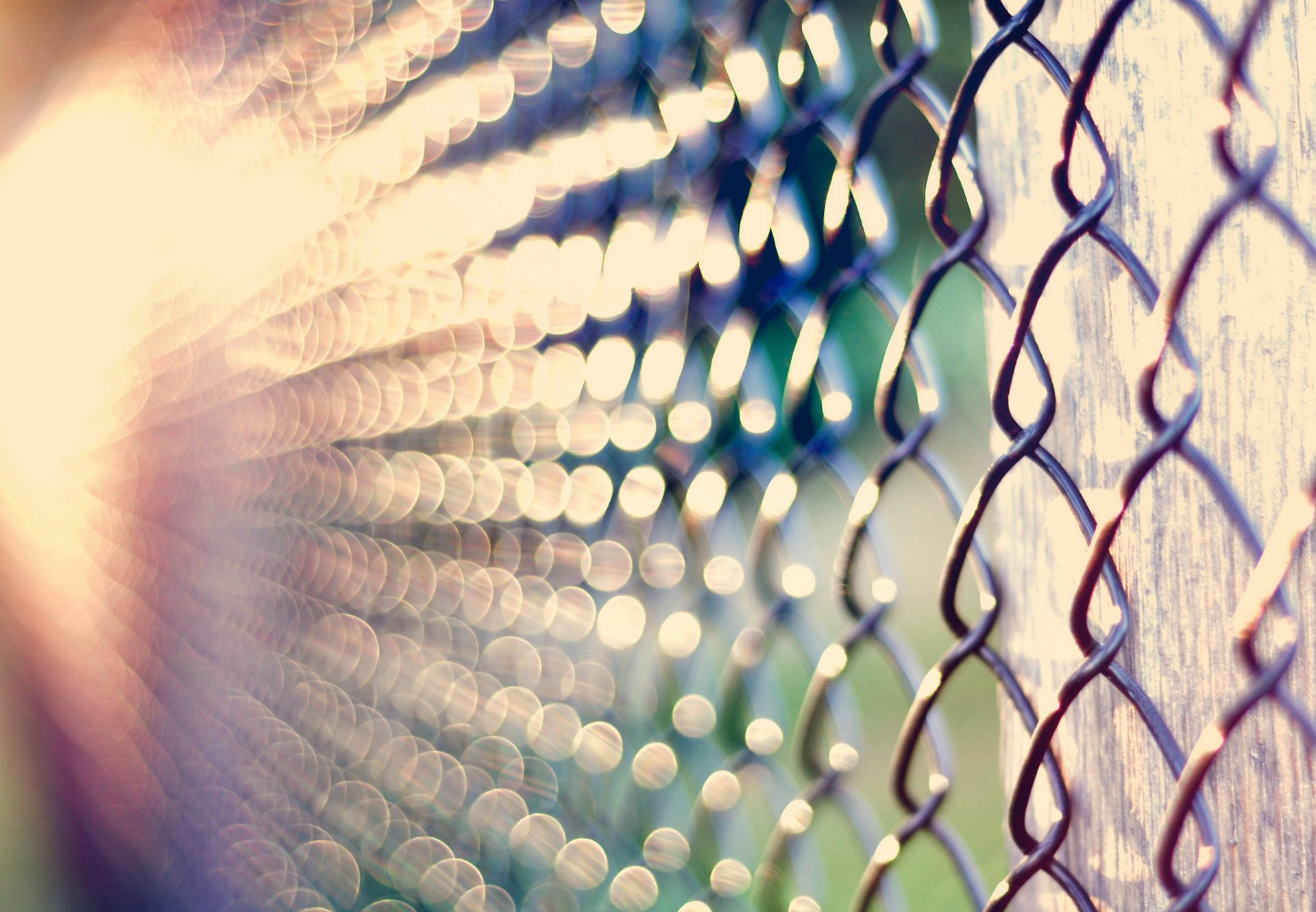 close up net netting light reflections bokeh