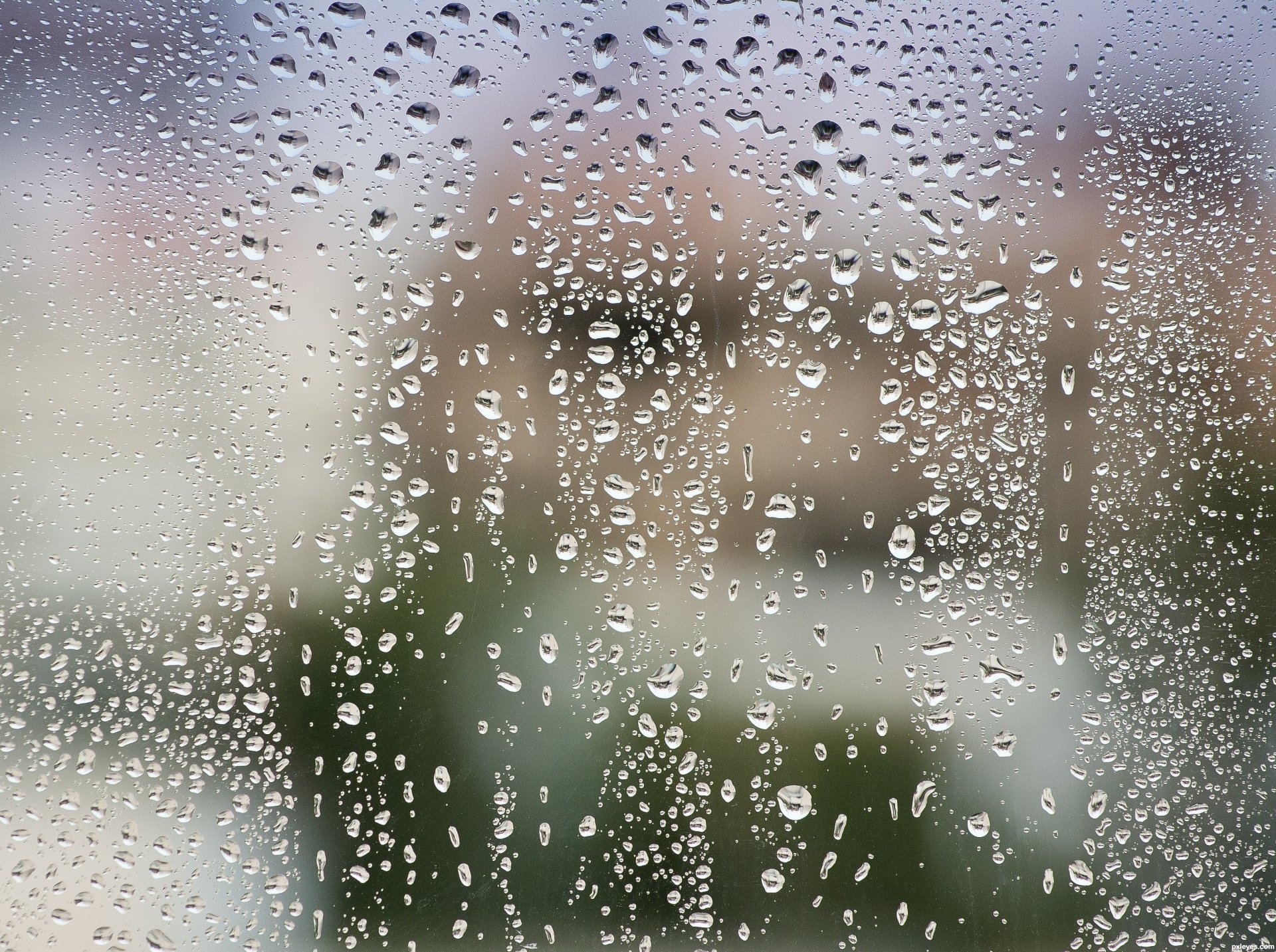 nach regen glas wasser tropfen makro