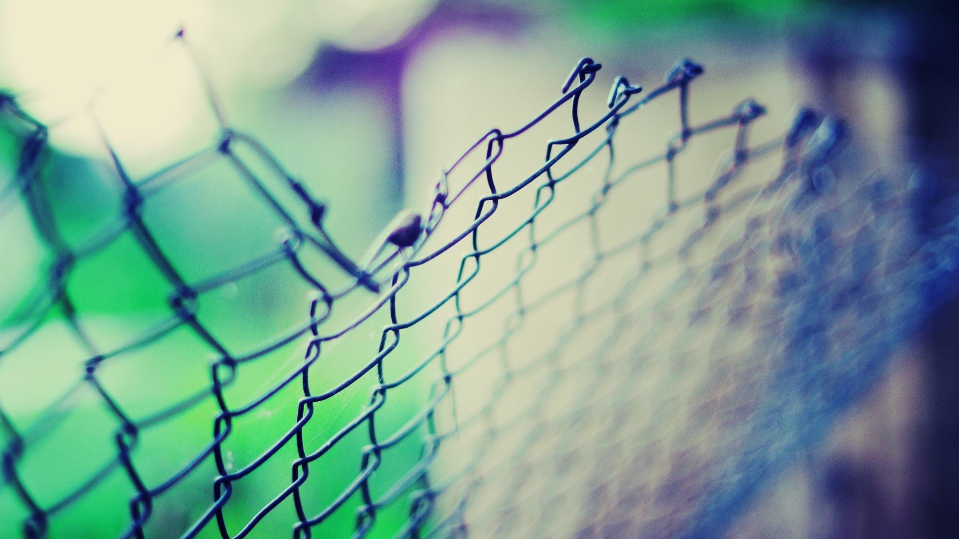 macro grid fence blue green light background wallpaper