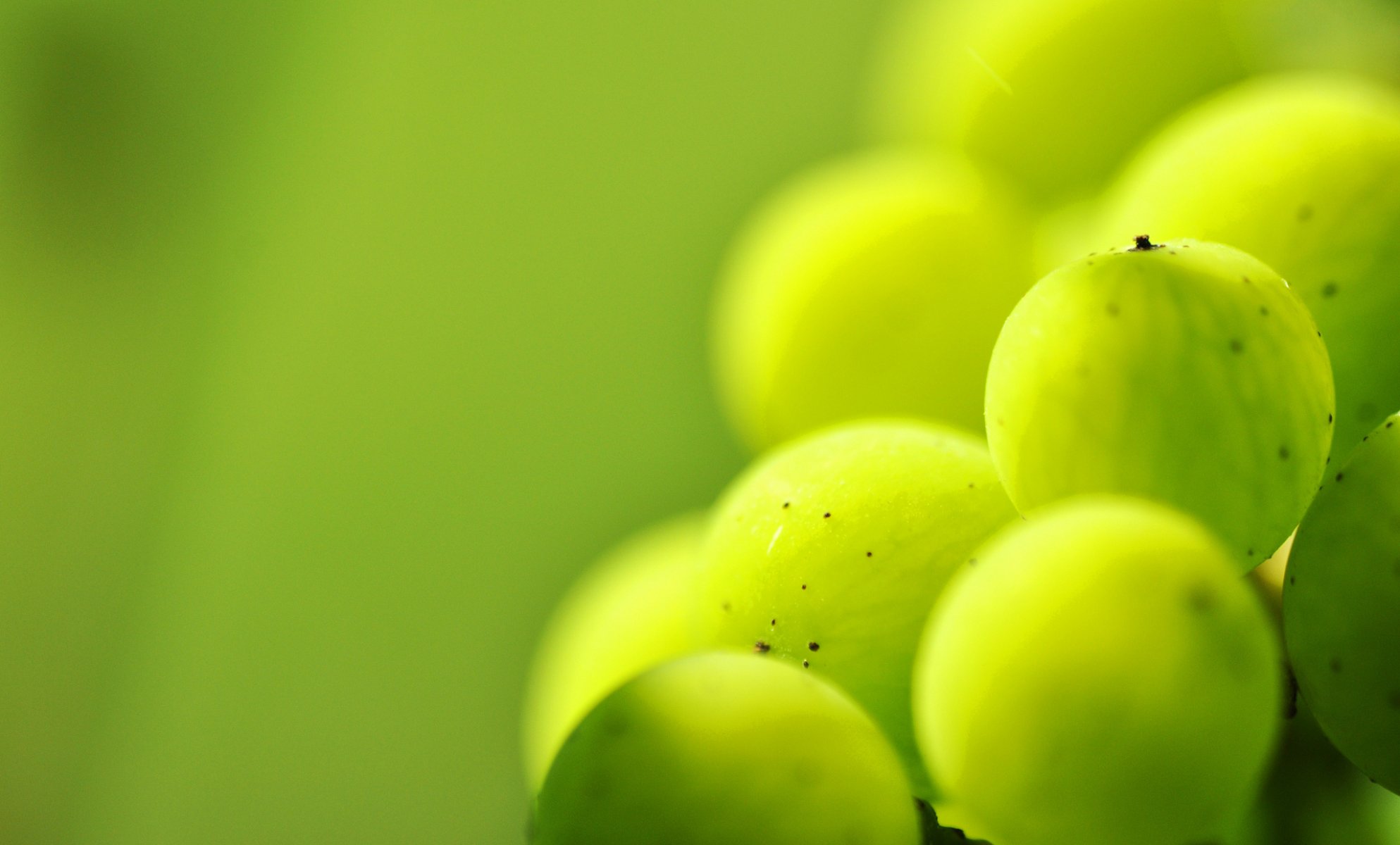 bacca verde uva spina venature macro punti