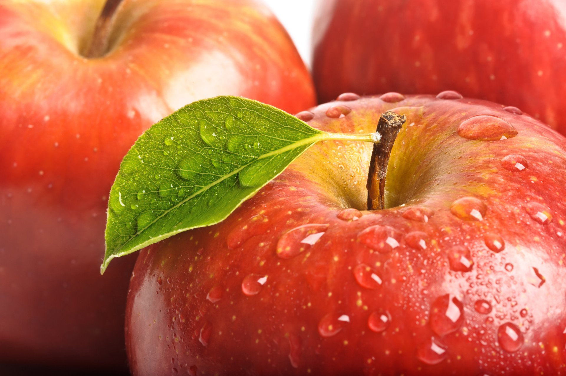 pomme rouge feuille gouttes fruits gros plan