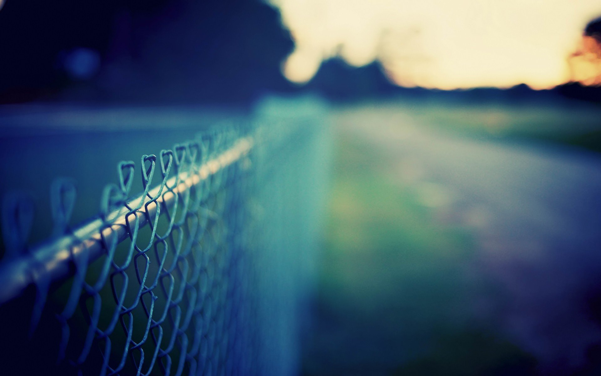 macro grid fence road grass greenery meadow distance sky color background desktop wallpaper wallpaper