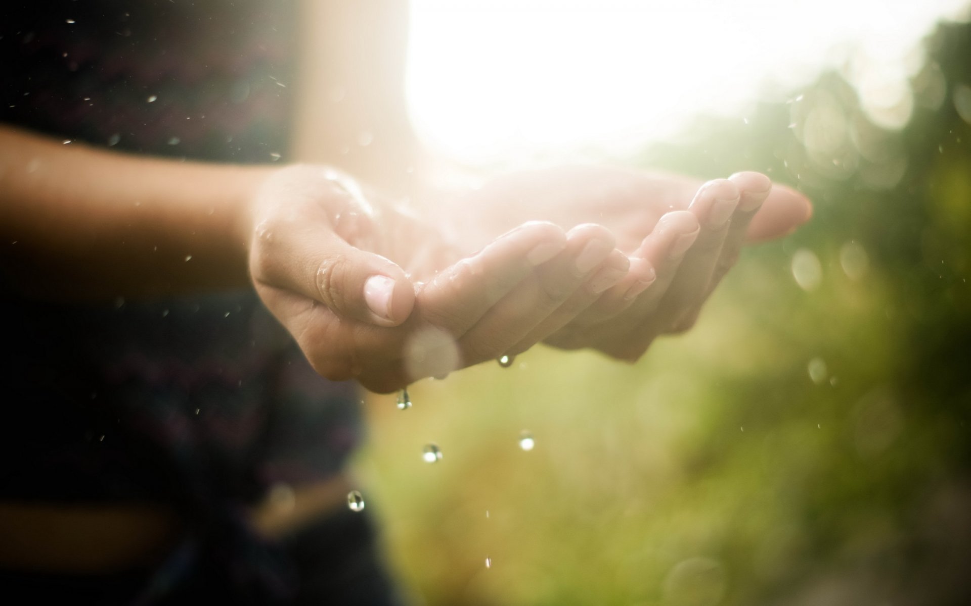 mains eau gouttes lumière gros plan