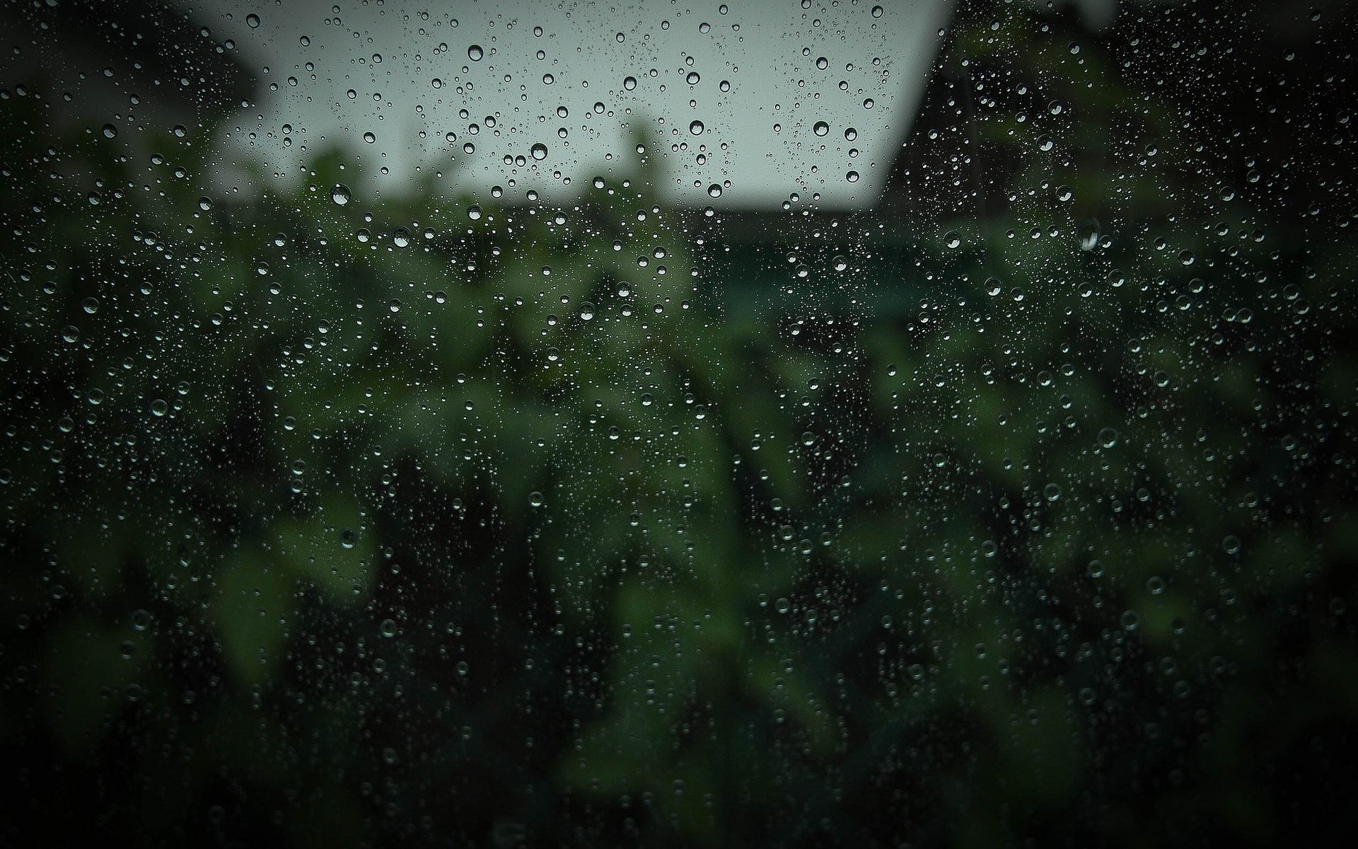 gotas lluvia vidrio macro