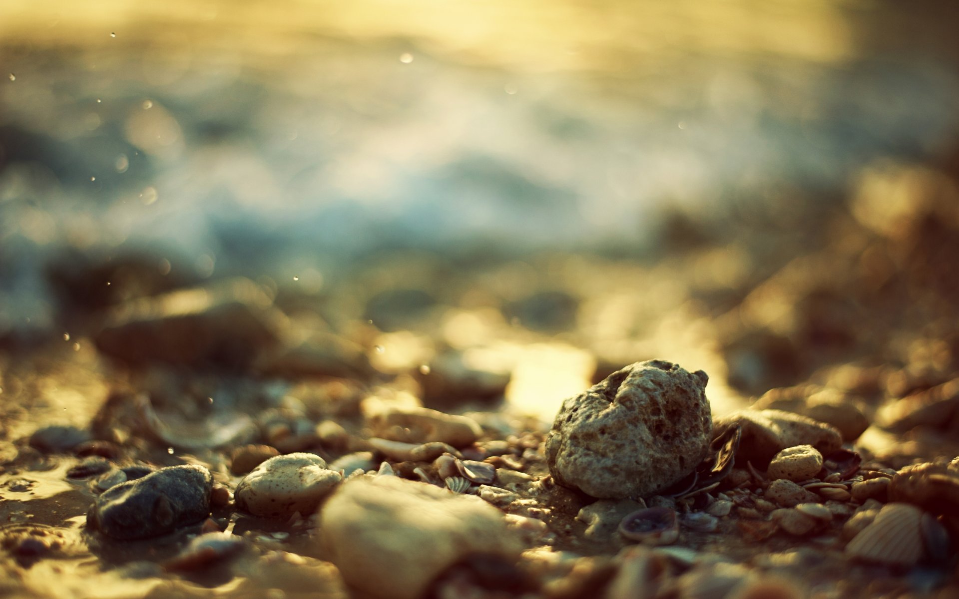 piedras conchas bokeh