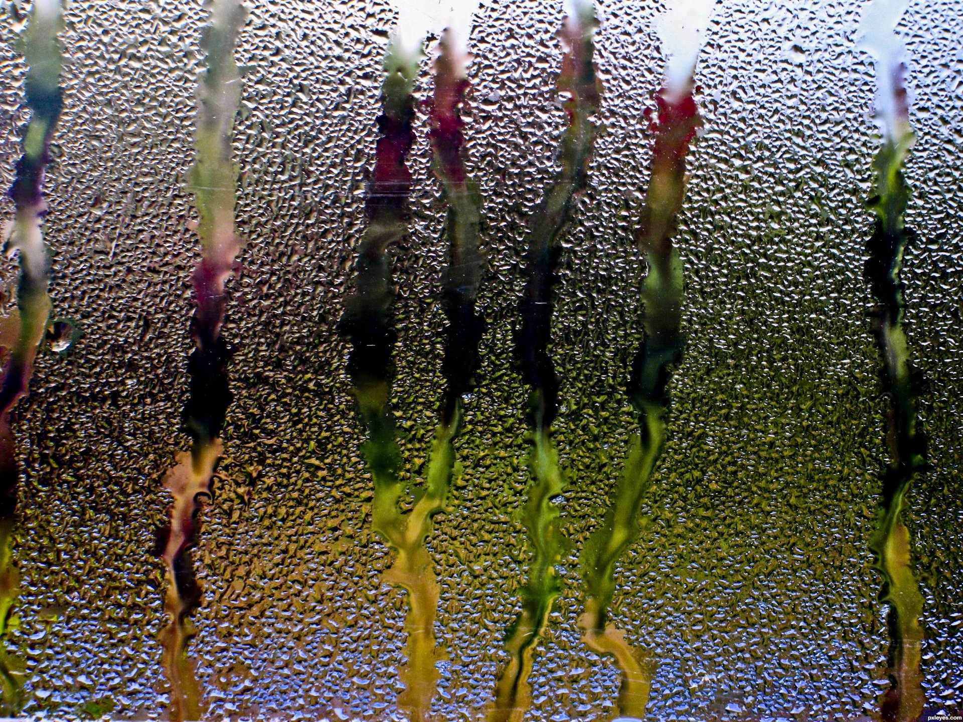 regen glas fenster wasser tropfen ströme