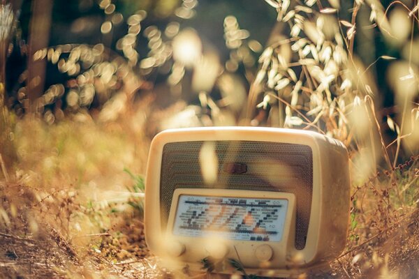 Radio receiver on the autumn grass