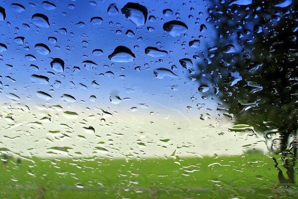 Verre de prise de vue macro après la pluie