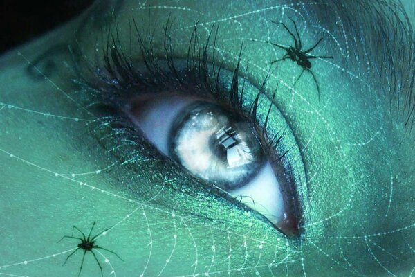 A girl s eye against a background of green skin with cobwebs and spiders on it