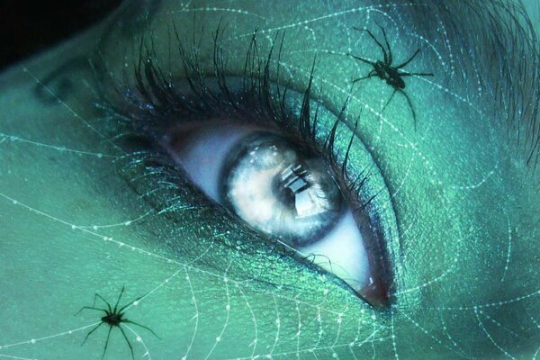 El ojo de la niña en el fondo de la piel verde con telarañas y arañas en ella