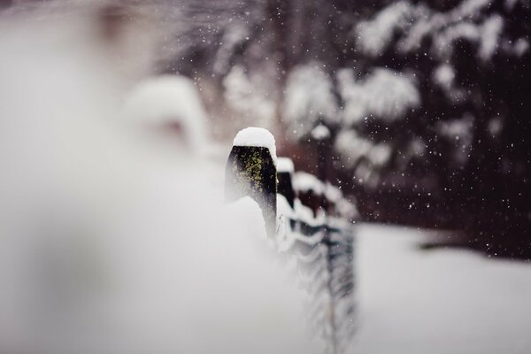 Winterfoto mit Schnee