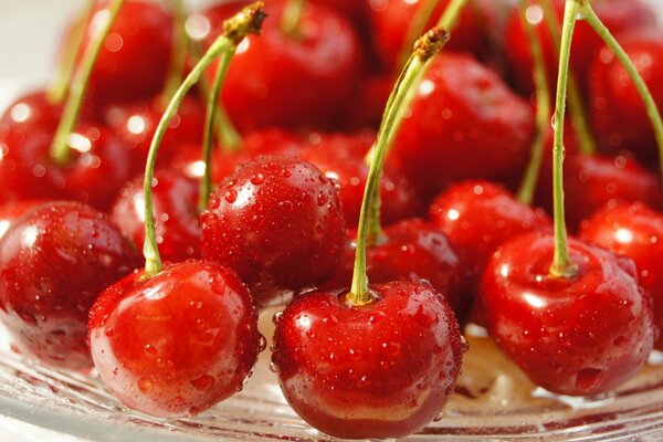 Bayas de cerezas rojas maduras