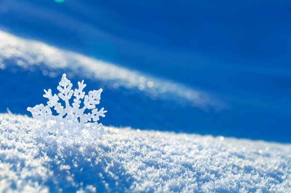 Disparo macro de copos de nieve en detalle