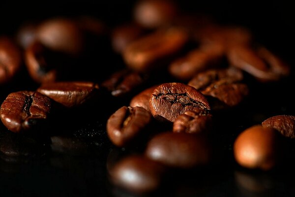 Chicchi di caffè molto tostati