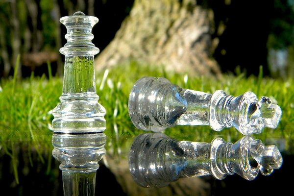 Pezzi di scacchi in vetro sullo sfondo della natura