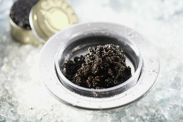 In der Ikornitse ist köstliches Yum yum von schwarzem Kaviar