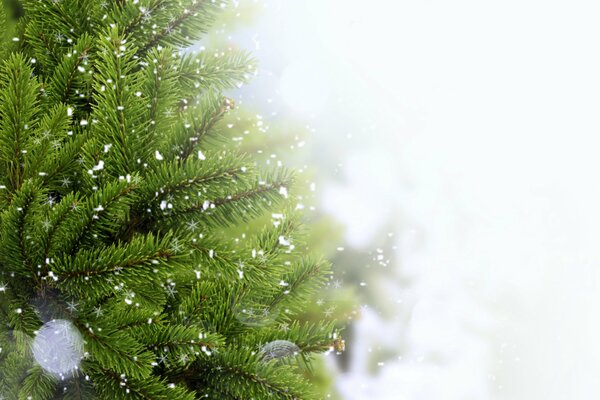 Inverno, albero di Natale, neve-umore di Capodanno