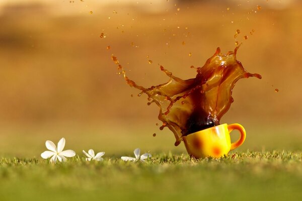 Coffee splashes from a fallen cup