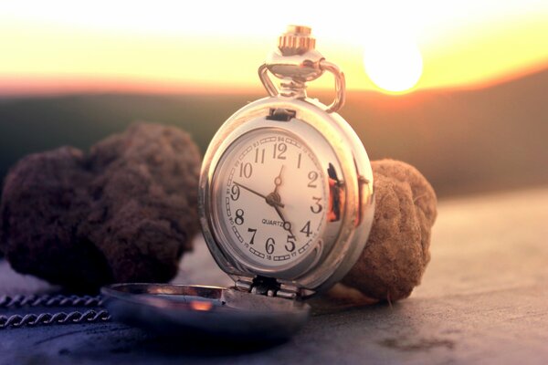 Montre de poche avec cadran et chaîne sur la surface à côté de champignons truffes et le soleil