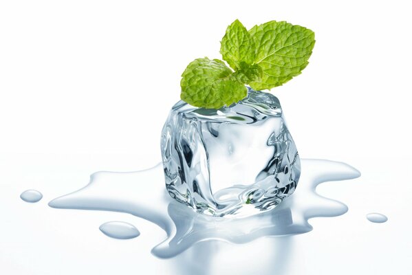 Cubo de hielo con hojas de menta