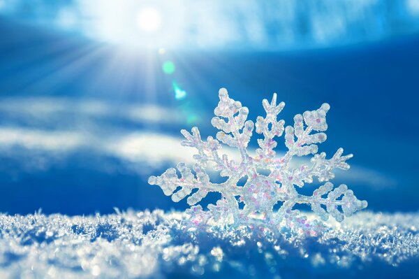 Flocons de neige dans la lumière vive