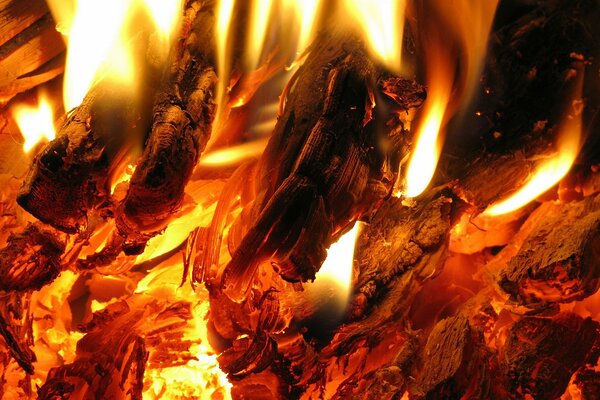 Flammes de feu et braises brûlantes