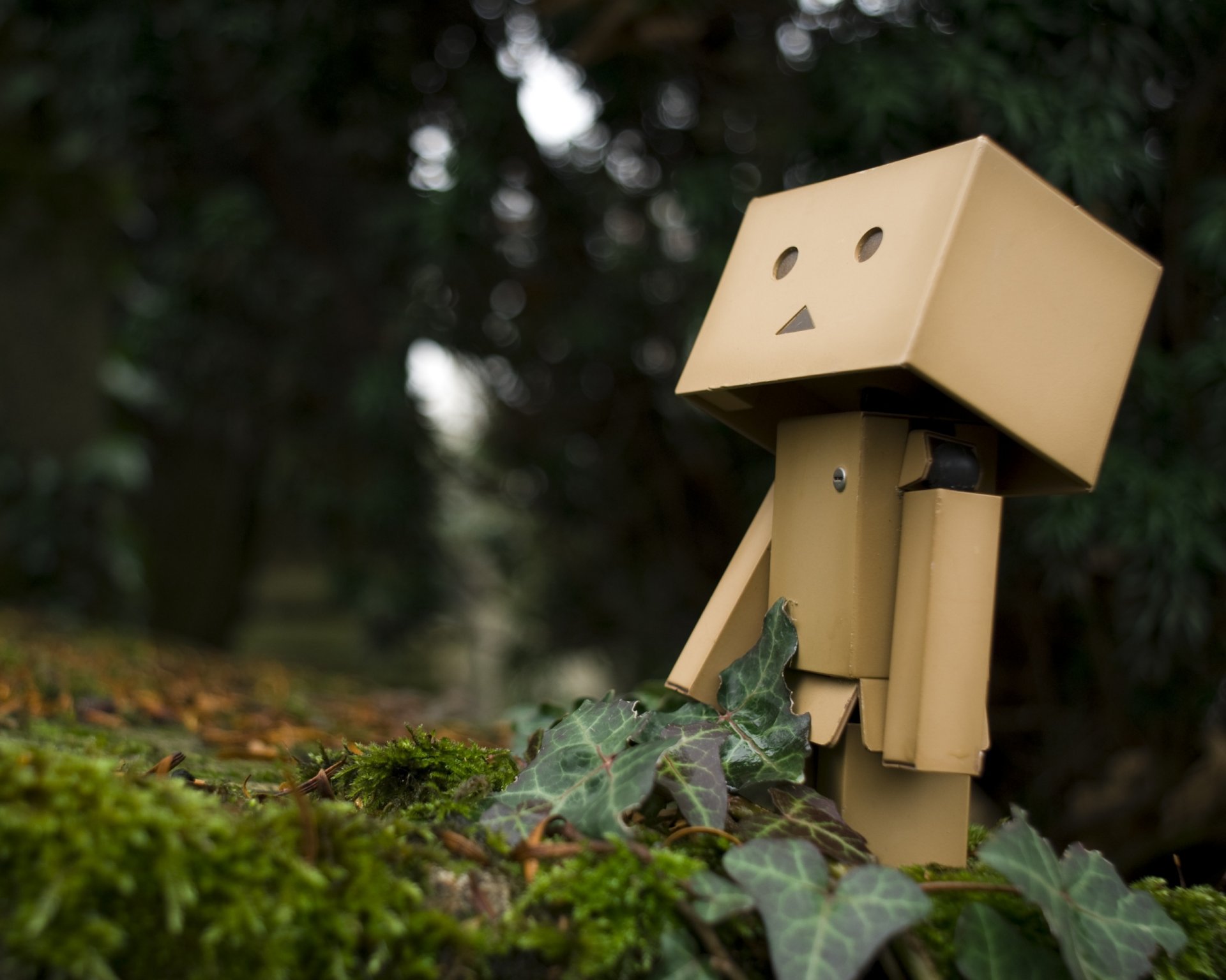 danbo кукла лес