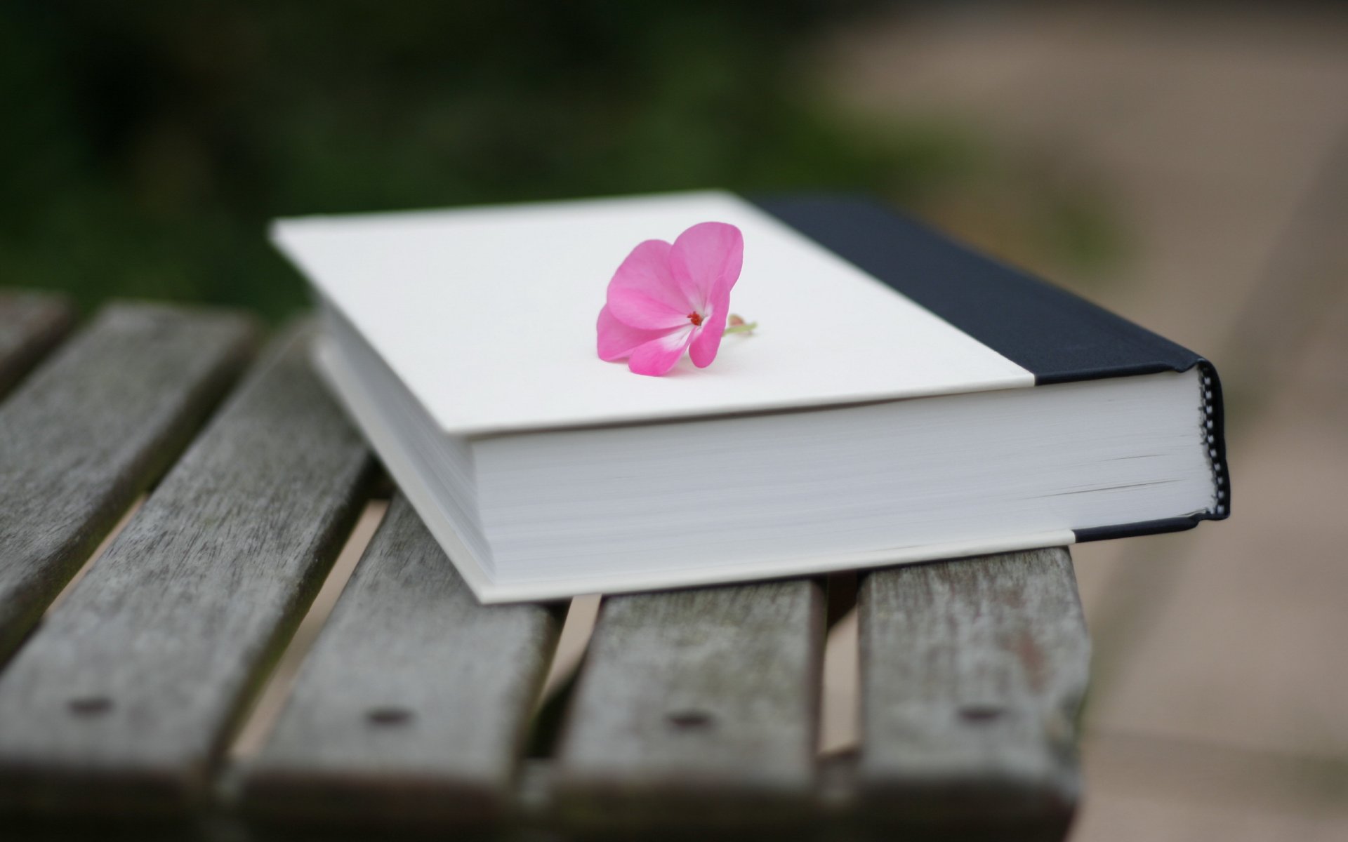 libro flor macro