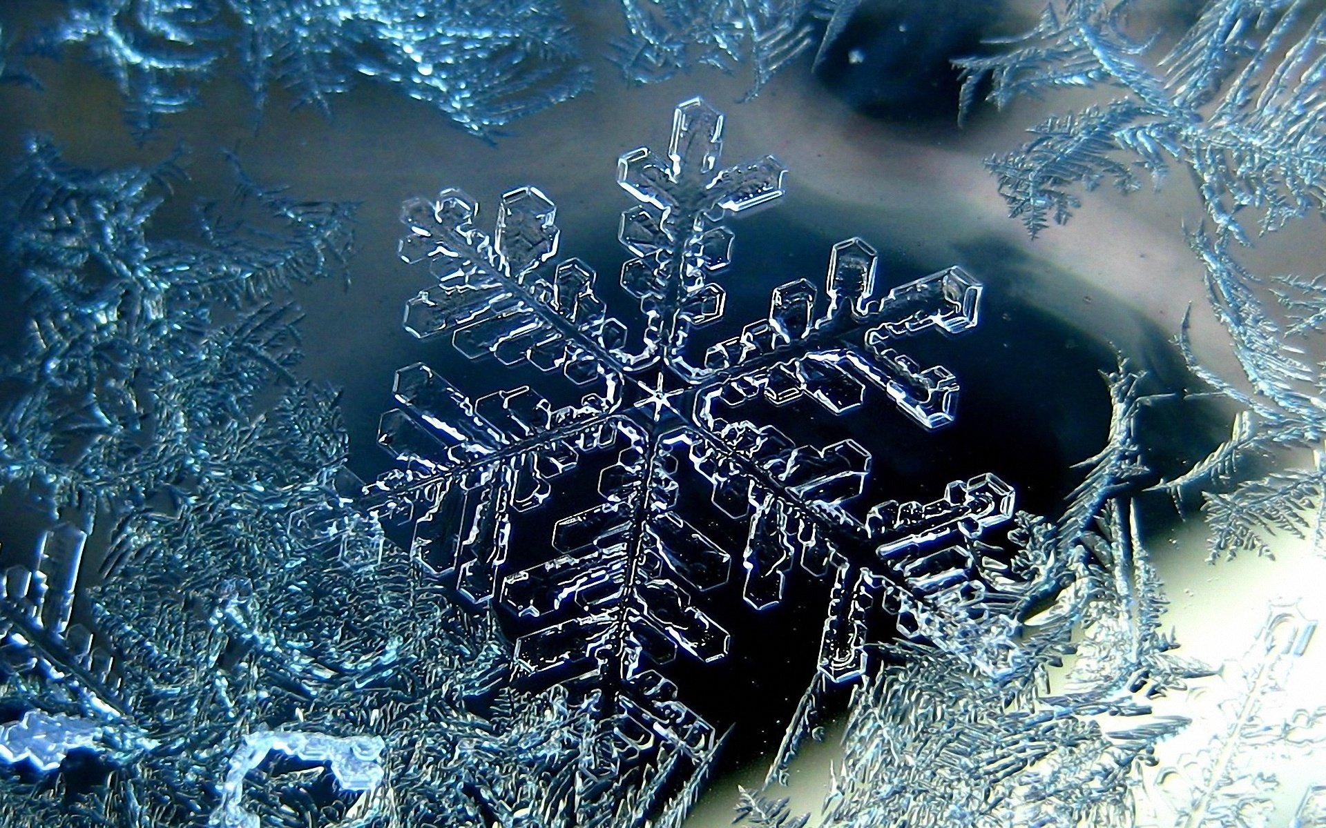 śnieg śnieżynka mróz zimno zima