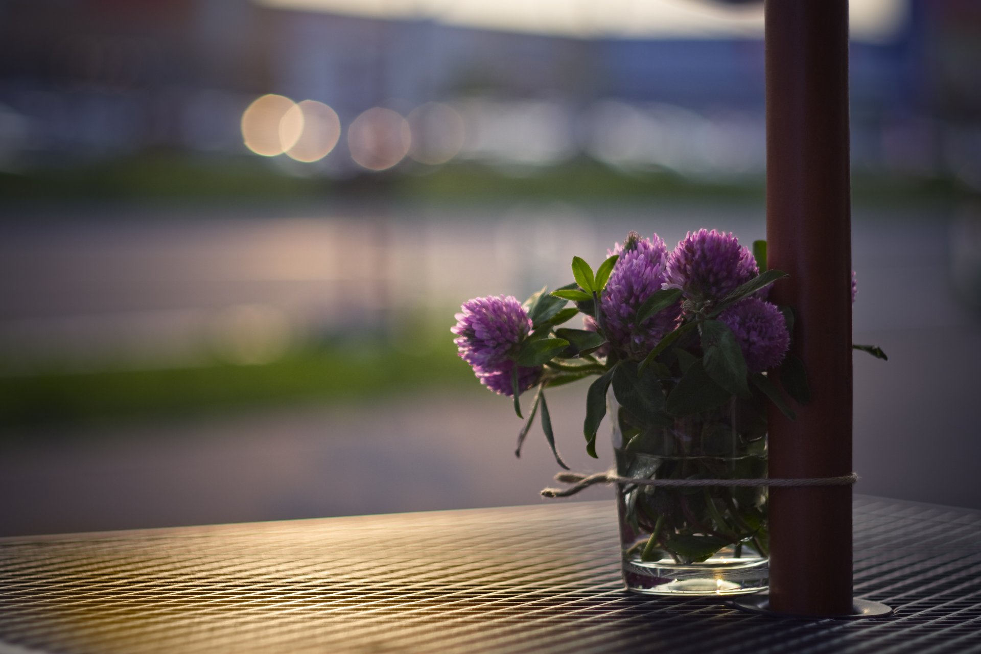 clover bouquet flower glass table street light reflections close up