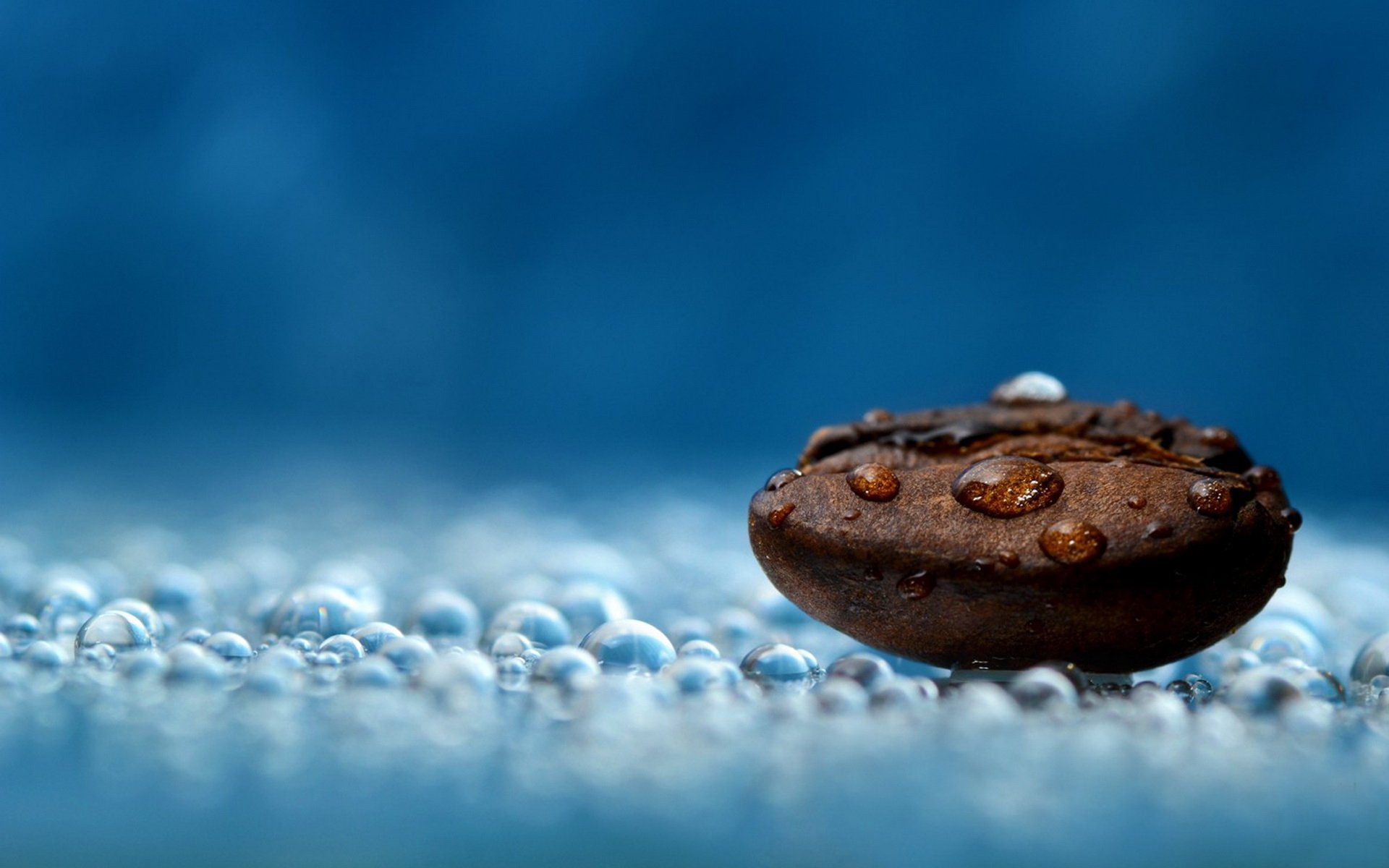 coffee shop corn coffee drop