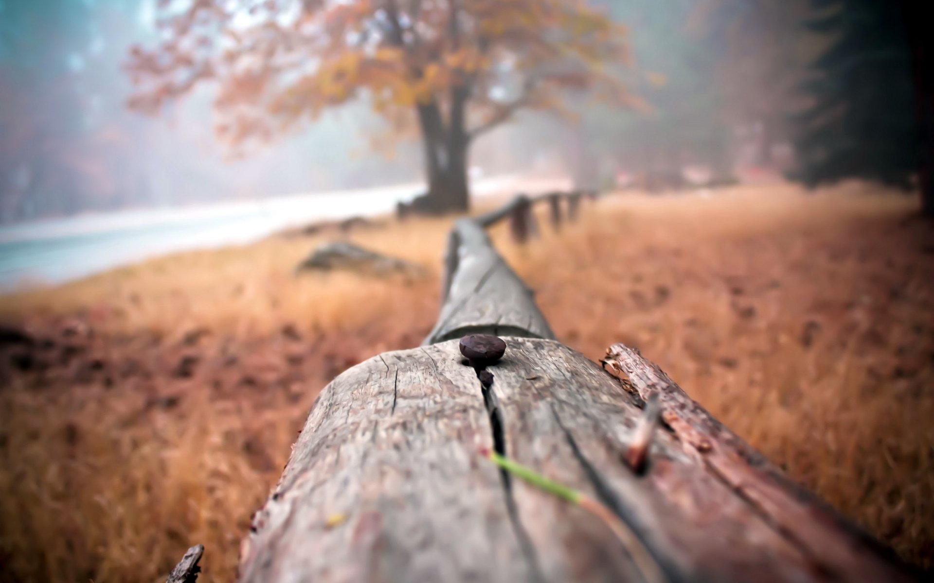 fence close up background