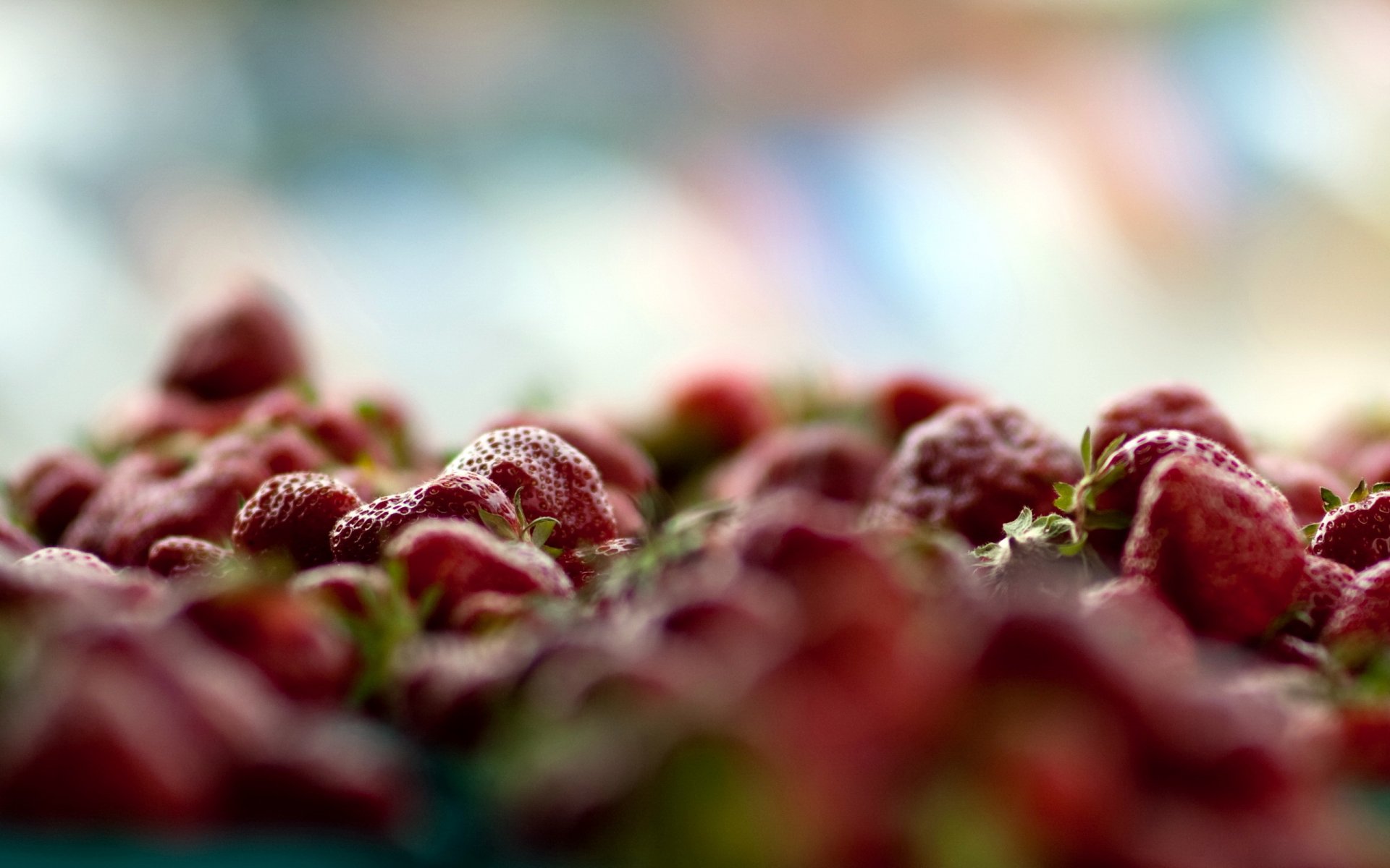 fragole macro bacche