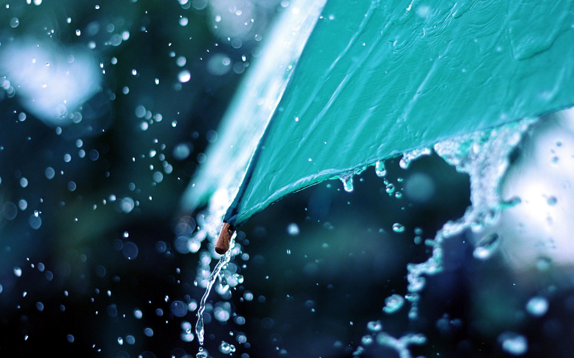 umbrella drops close up rain